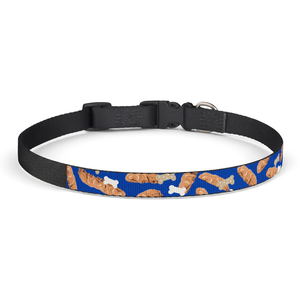 Blue dog Collar