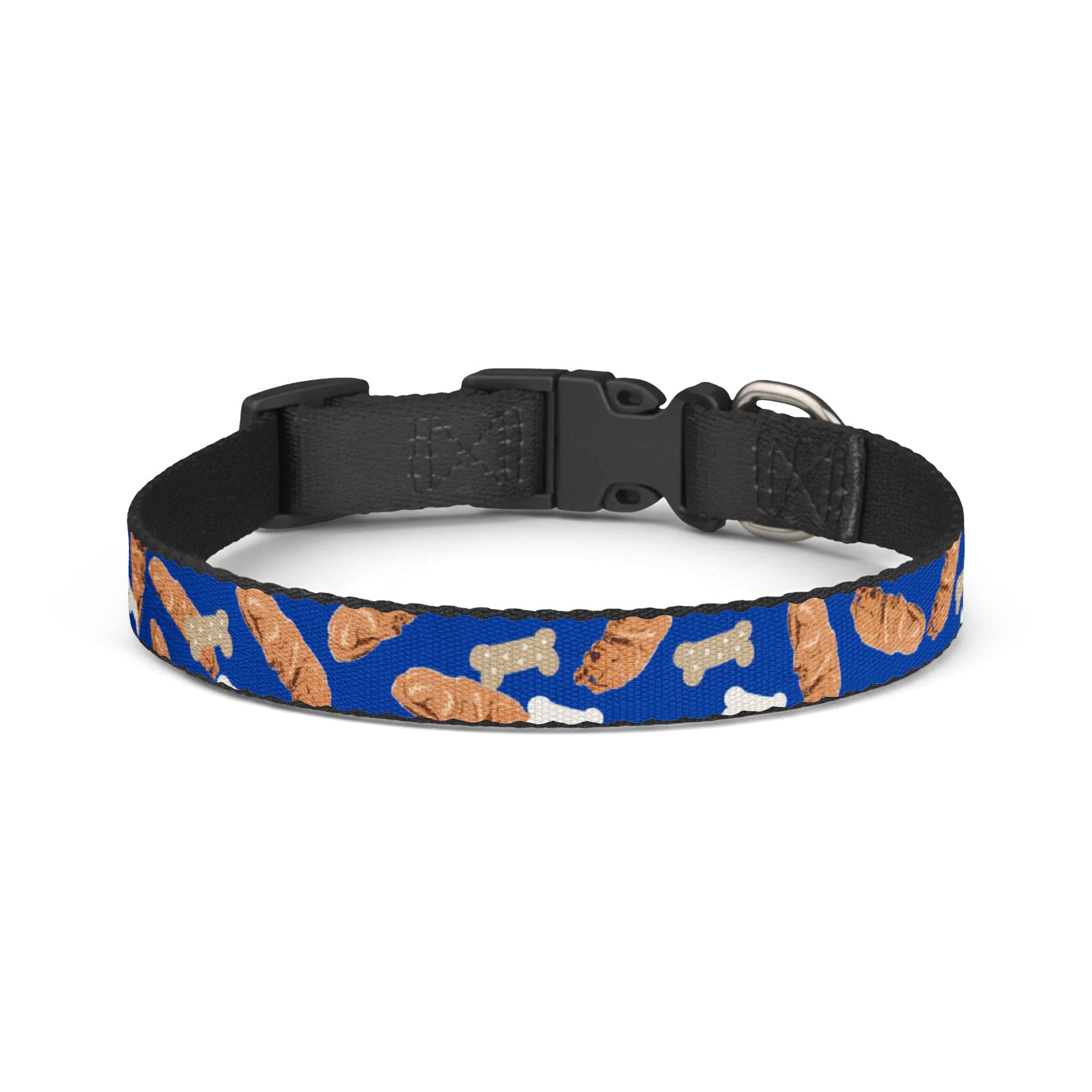 Blue dog Collar