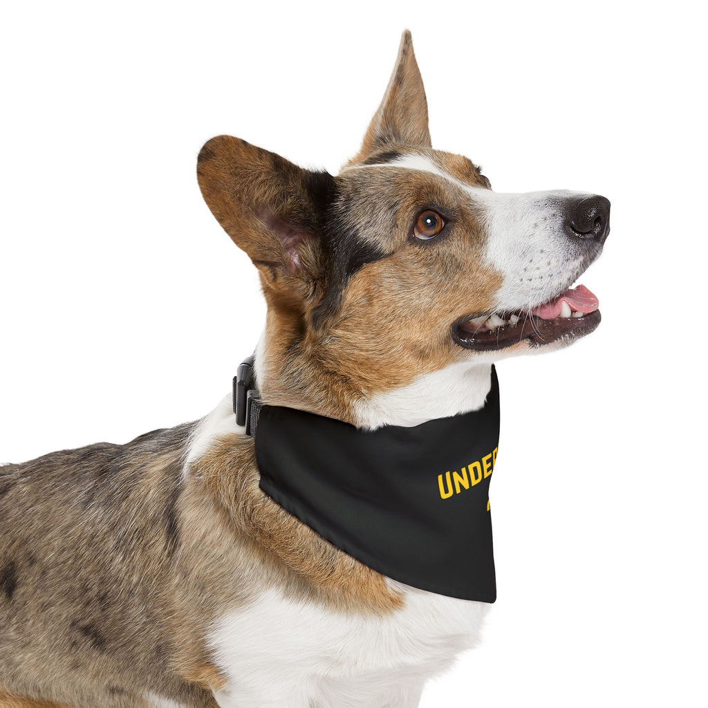 Undercover K9 Bandana Collar