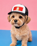 Internet famous trucker hat