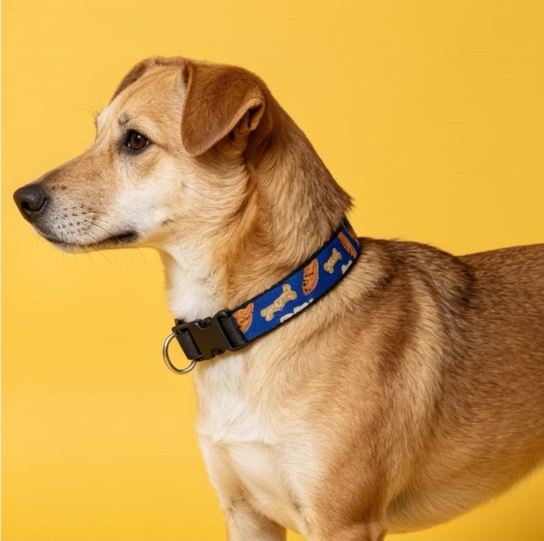Blue dog Collar