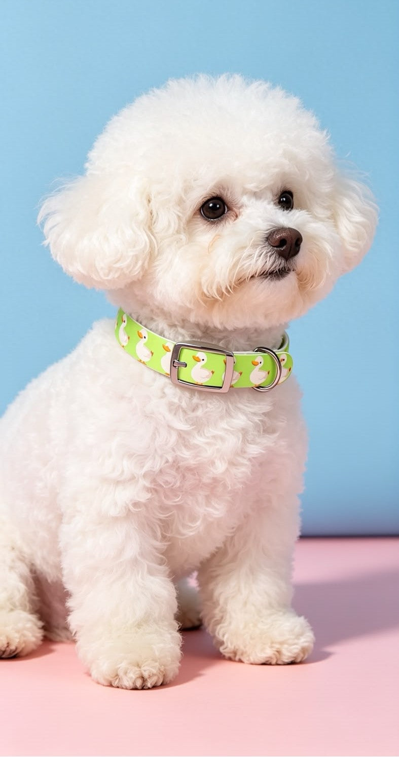 Duck Dog Collar