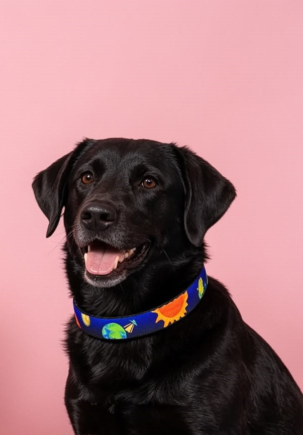 Solar system Collar