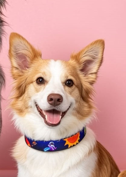 Solar system Collar
