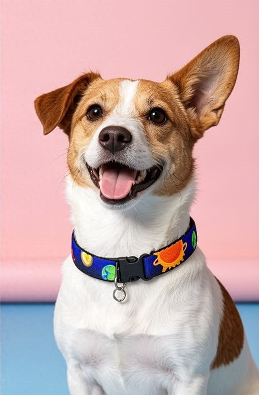 Solar system Collar